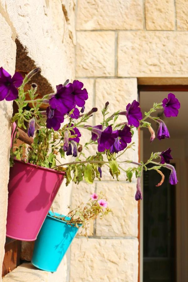 Studio Airport Dubrovnik Čilipi エクステリア 写真
